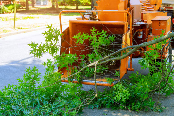 Landscape Design and Installation in Denton, TX