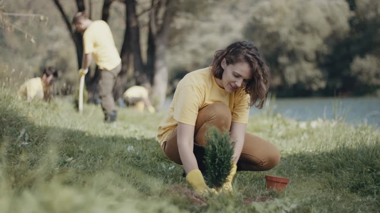 Best Lawn Pest Prevention  in Denton, TX