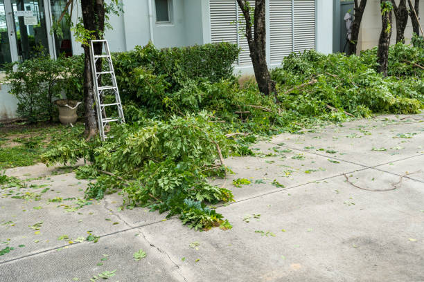 Best Firewood Processing and Delivery  in Denton, TX