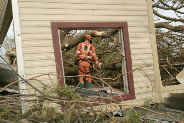 Best Tree Trimming and Pruning  in Denton, TX
